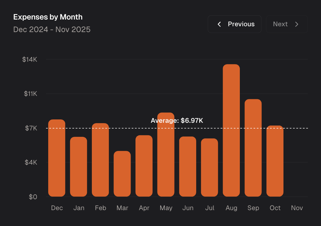 expenses by month dark